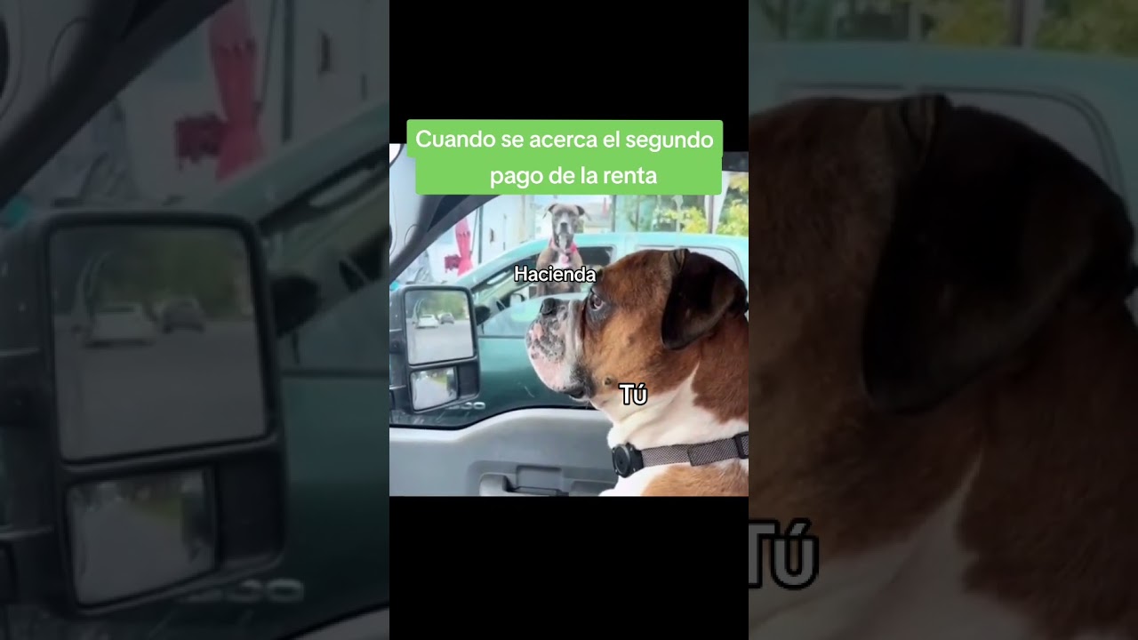 Cuando se vence el segundo plazo de hacienda
