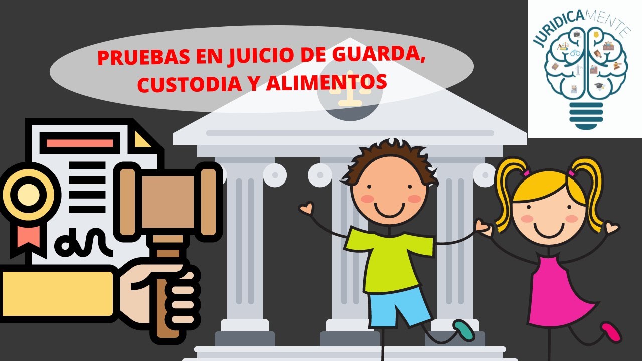 Juicio de guarda y custodia: pruebas y argumentos presentados
