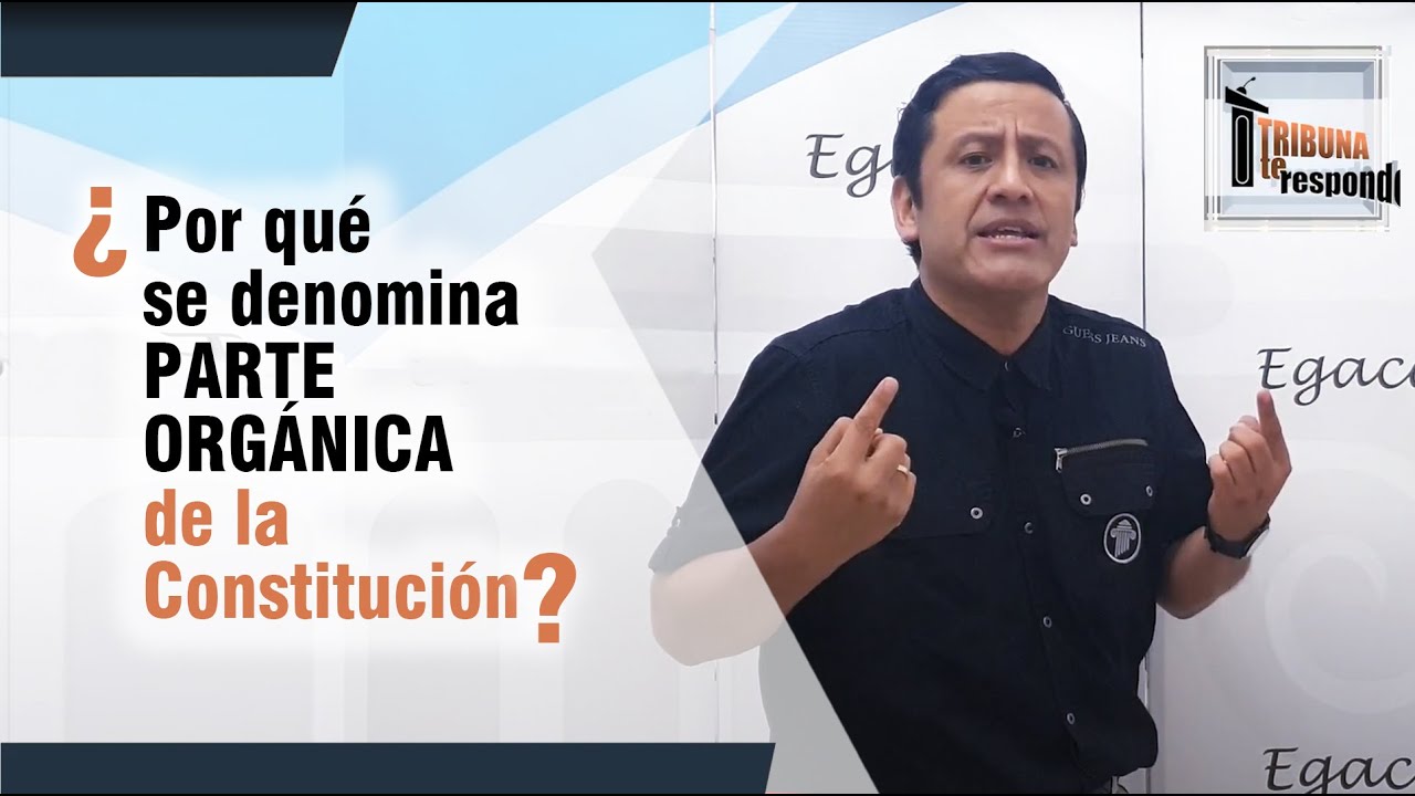 La importancia de la parte orgánica de la Constitución Española