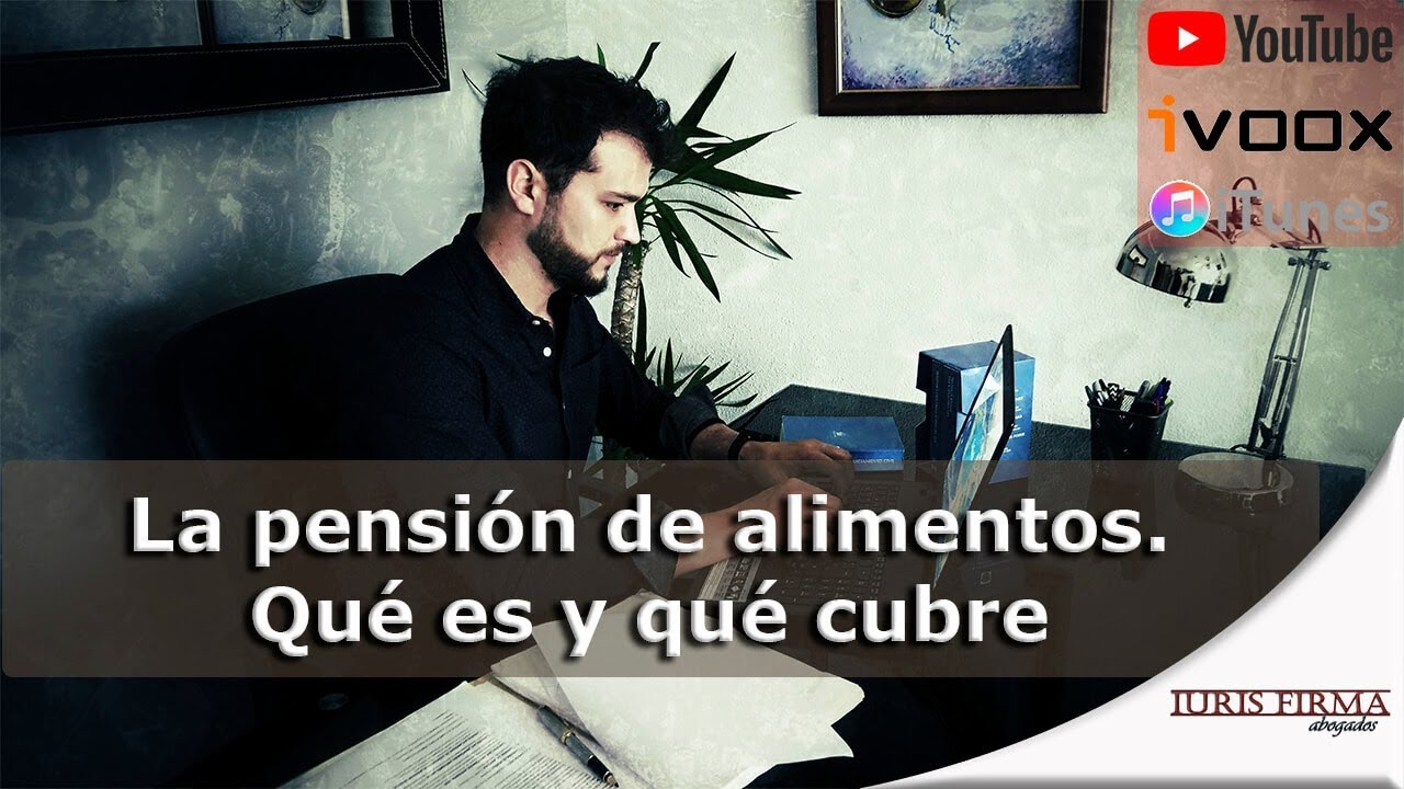 Qué entra en la pensión alimenticia