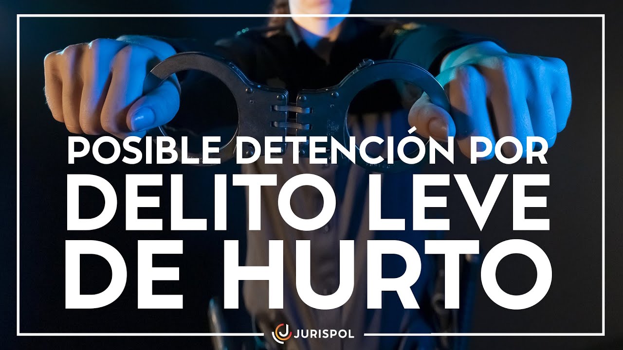 Imposición de una multa de 20 euros por hurto