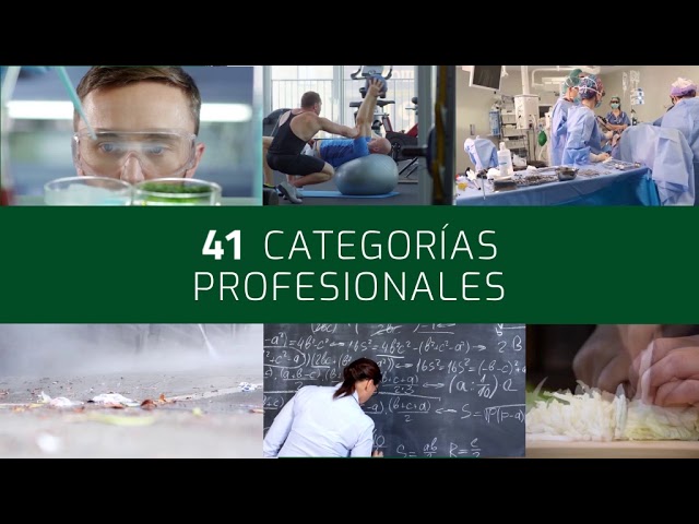 La bolsa única de la Junta de Andalucía: un paso hacia la eficiencia y transparencia