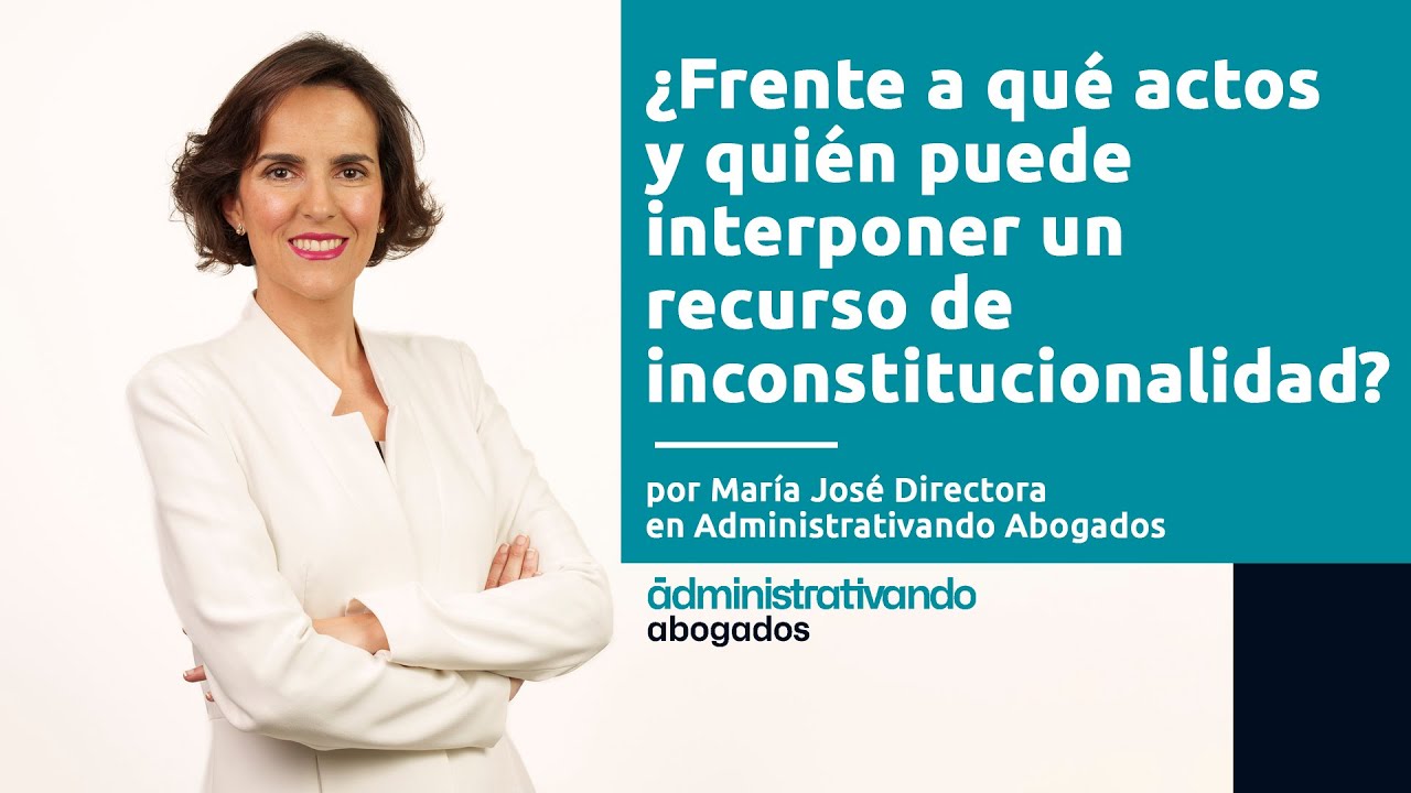 Quién puede interponer recurso de inconstitucionalidad
