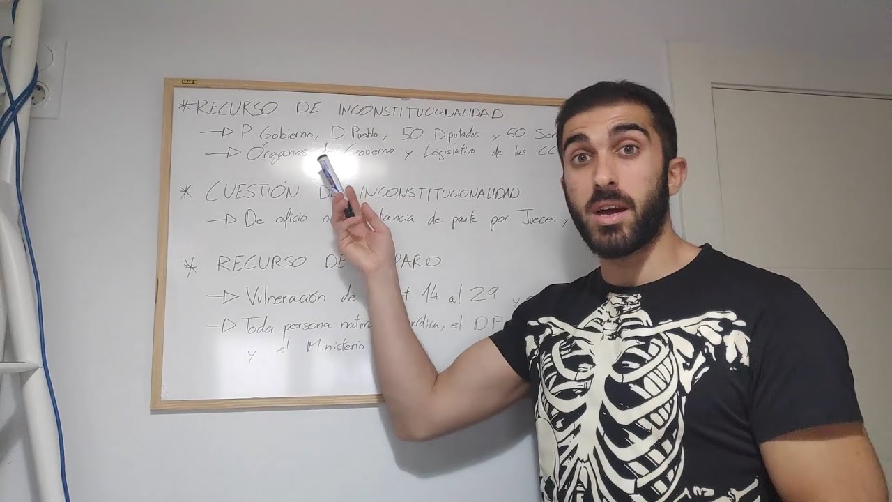 Quiénes están legitimados para interponer recurso de inconstitucionalidad