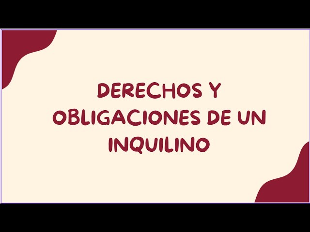 Conoce los derechos de los inquilinos en España