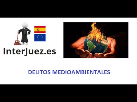 Delitos contra el medio ambiente en el código penal