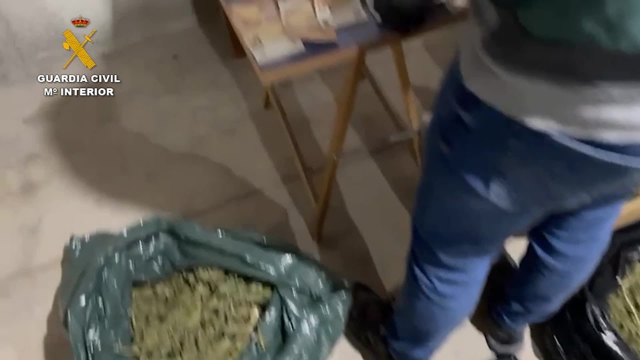 Detenidos en Valencia por tráfico de drogas