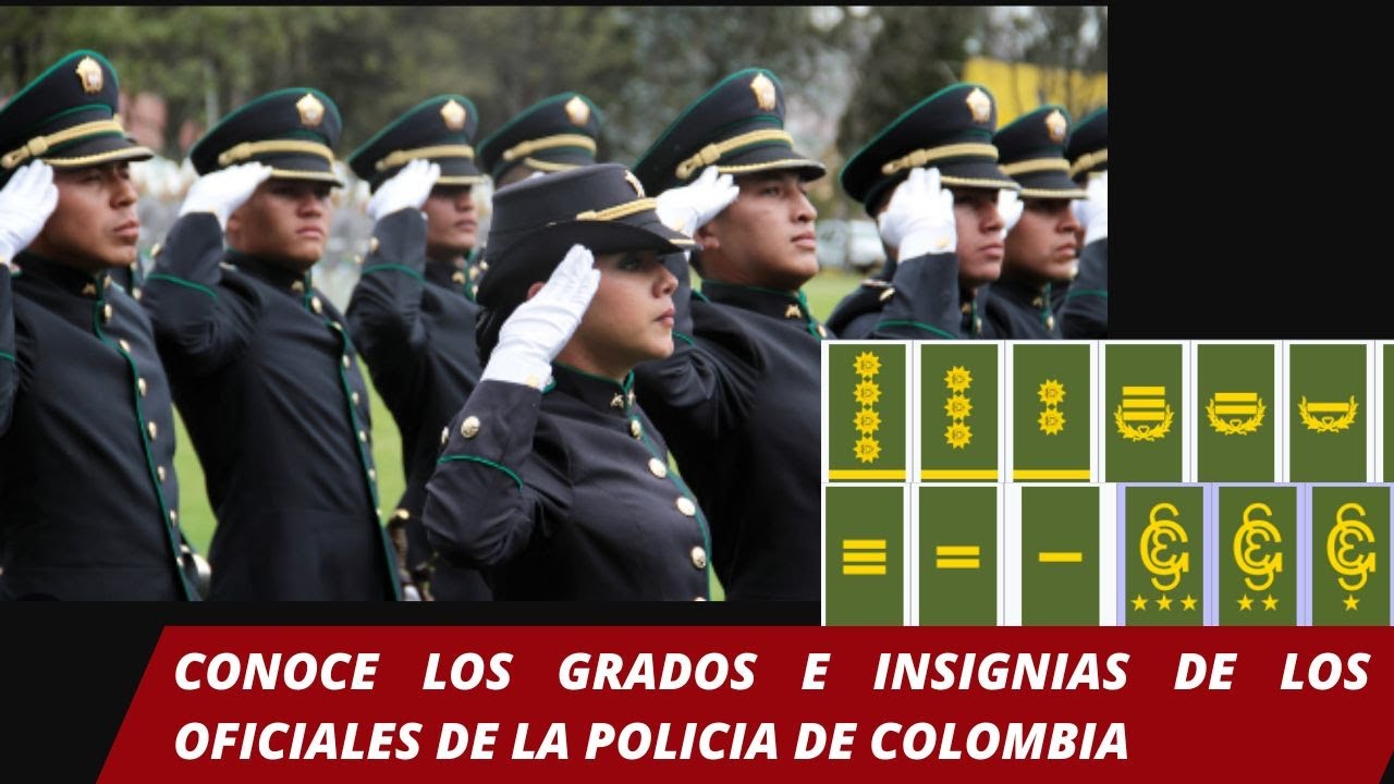 Los diferentes grados de la policía de Colombia