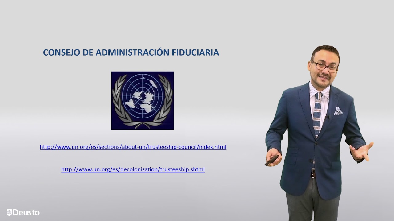 Consejo Económico y Social de la ONU