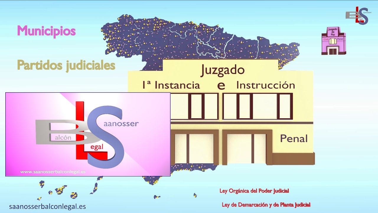 El juzgado de primera instancia e instrucción único
