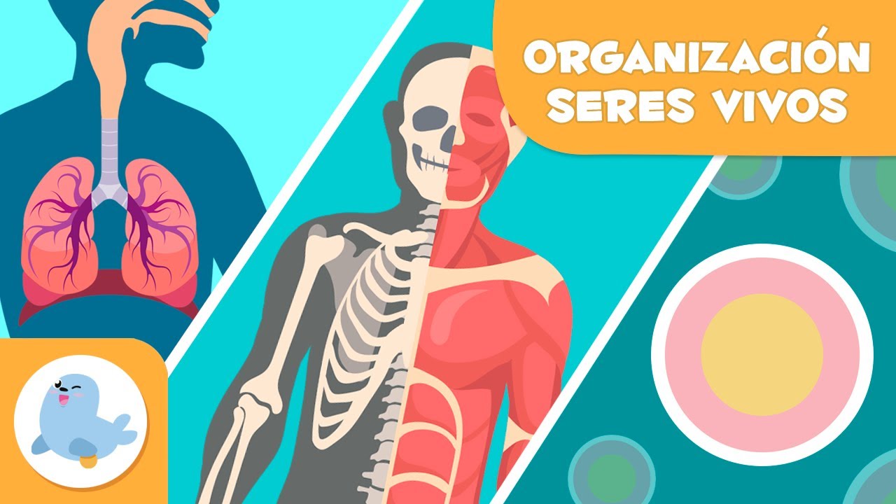 Juntas especializadas en materias específicas