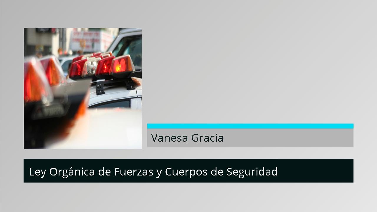 La importancia de la Ley Orgánica de Fuerzas y Cuerpos de Seguridad
