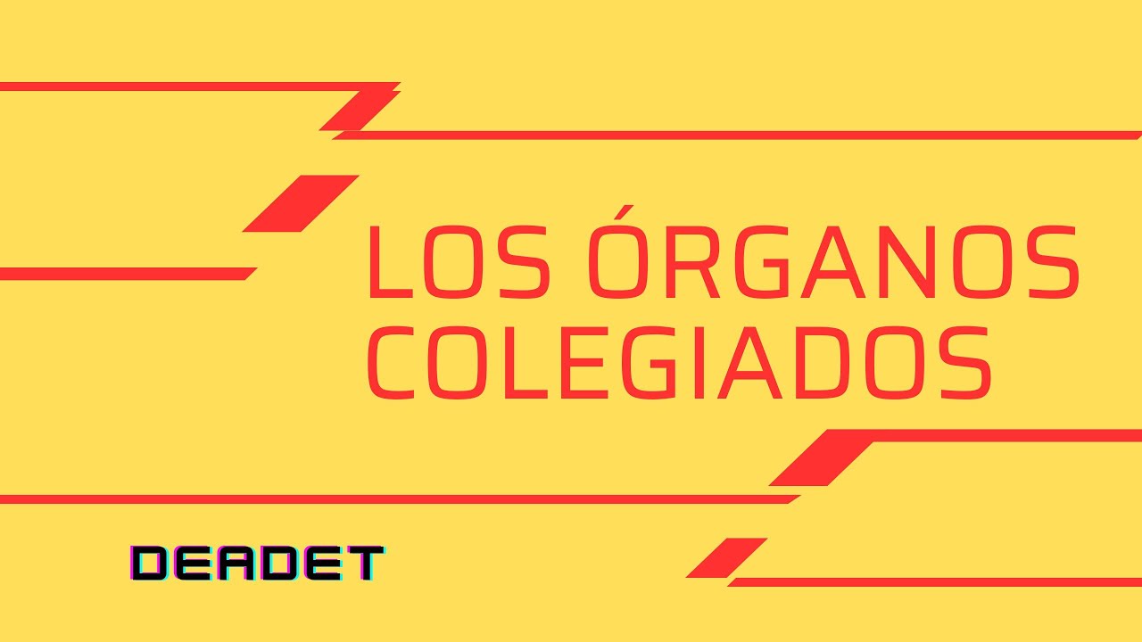 Órganos colegiados en la administración pública: ejemplos.