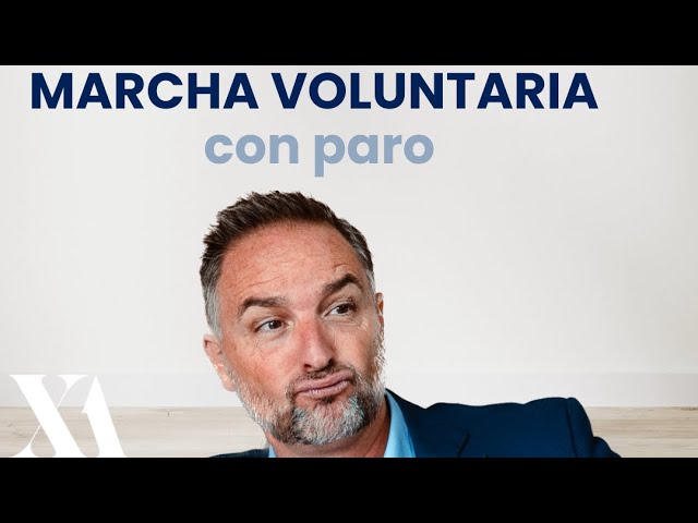 Tienes derecho a paro por baja voluntaria: conoce tus derechos laborales
